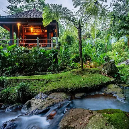 Bali Eco Stay