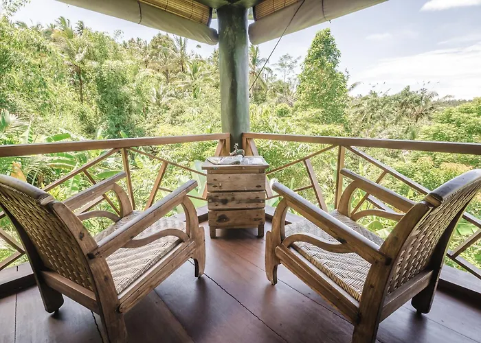 Bali Eco Blimbing
