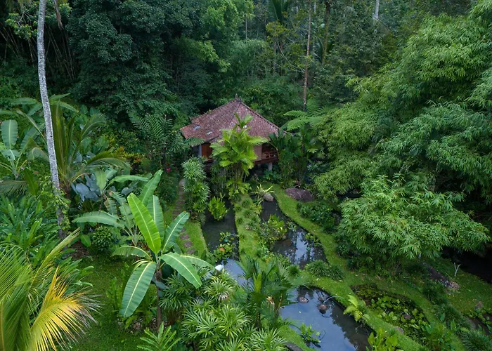 Bali Eco ロッジ